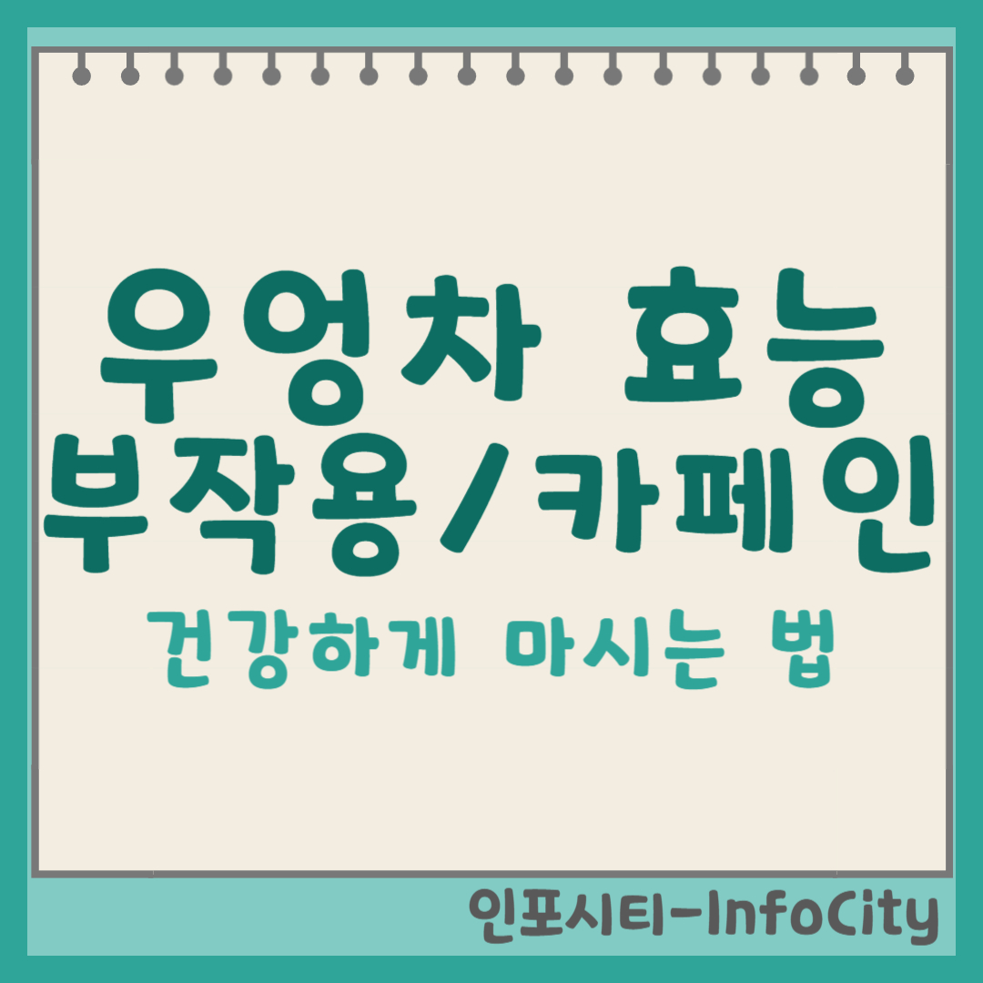 우엉차 효능, 부작용, 카페인 포스팅 썸네일