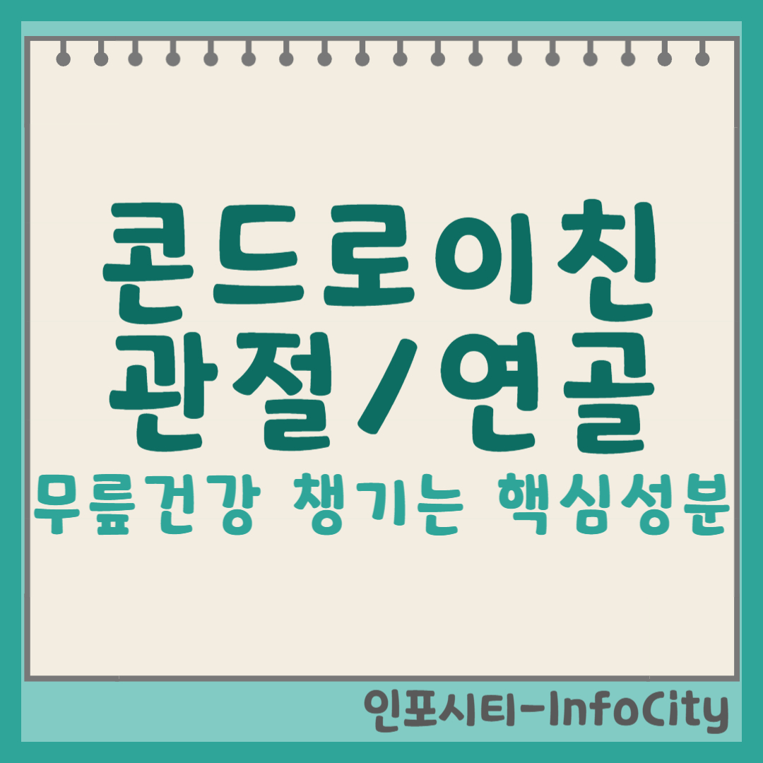 콘드로이친, 관절과 연골 건강의 핵심 성분 완벽 가이드 썸네일