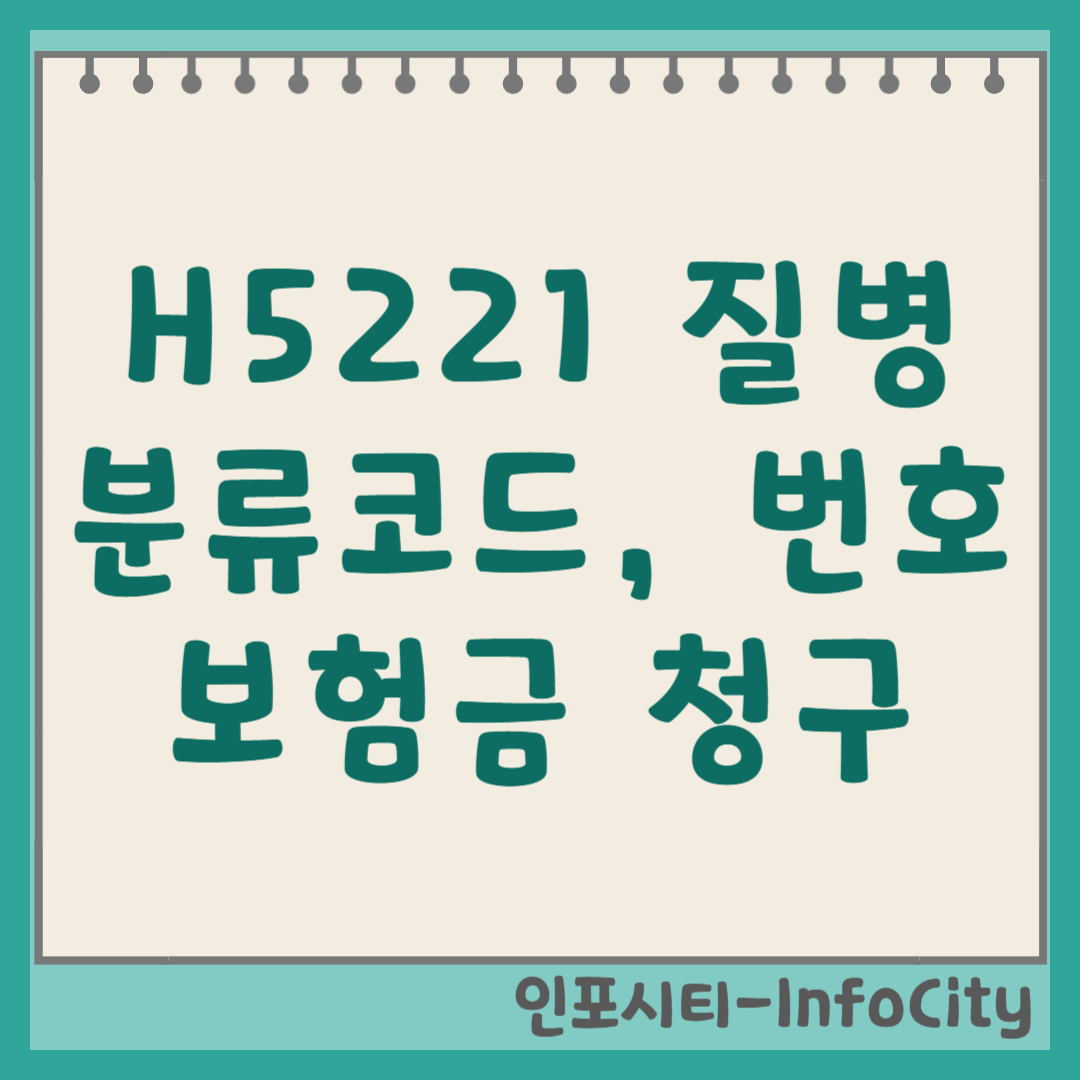 H5221 질병분류코드 뜻, 실비 진단비 보험금 청구 가능할까? (기호, 번호)