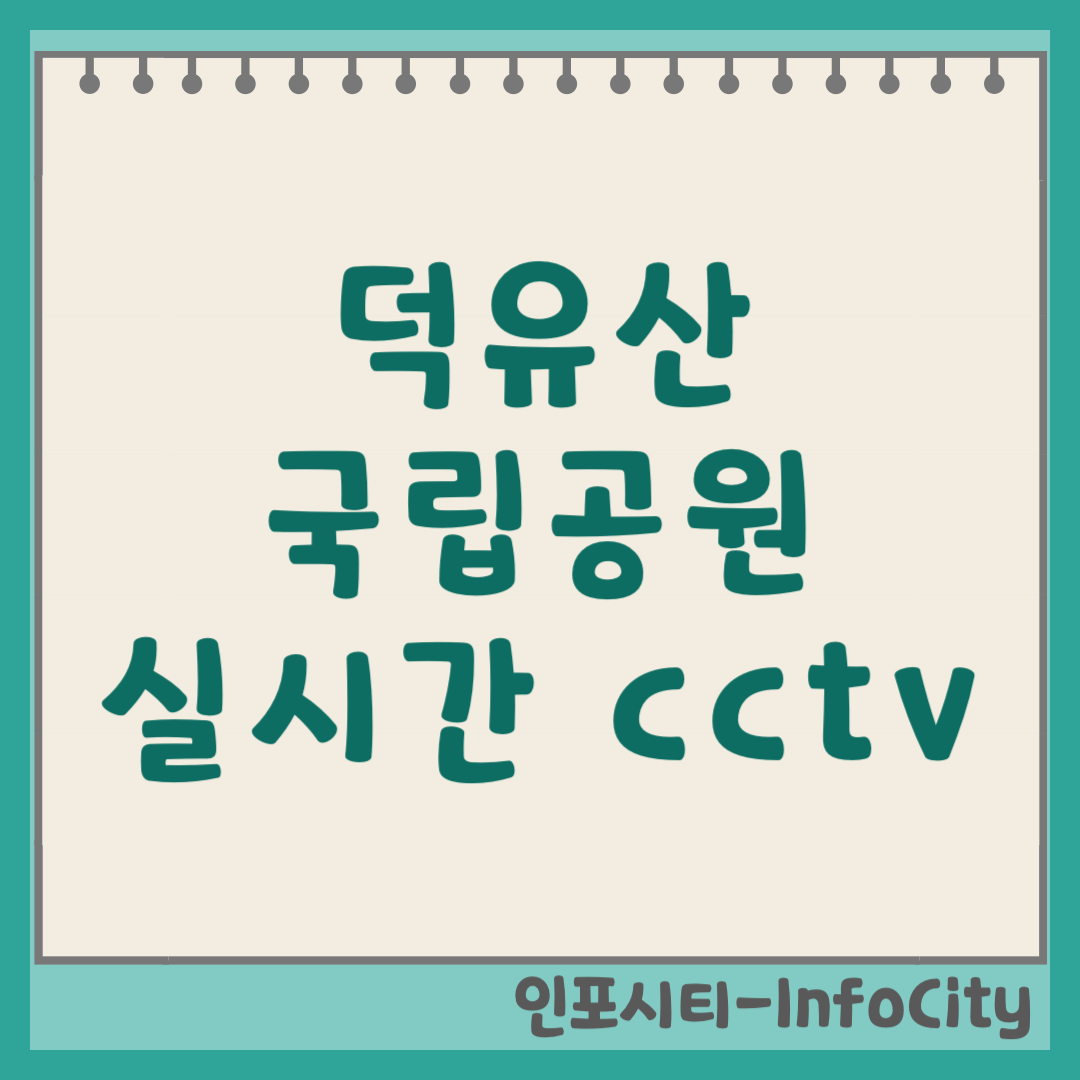 덕유산 국립공원 설천봉 실시간 CCTV 영상보기 (2026)
