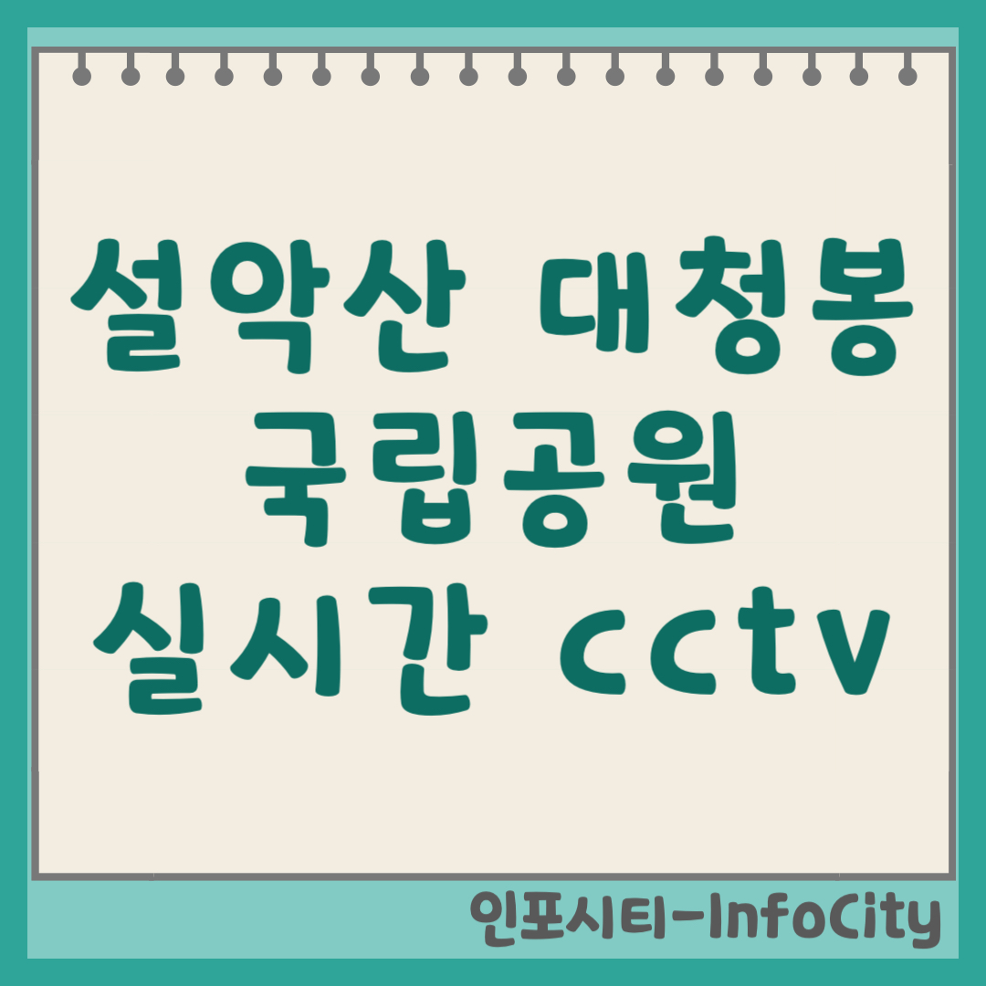 설악산 국립공원 대청봉 CCTV 실시간 영상보기 및 날씨 확인 (2026)