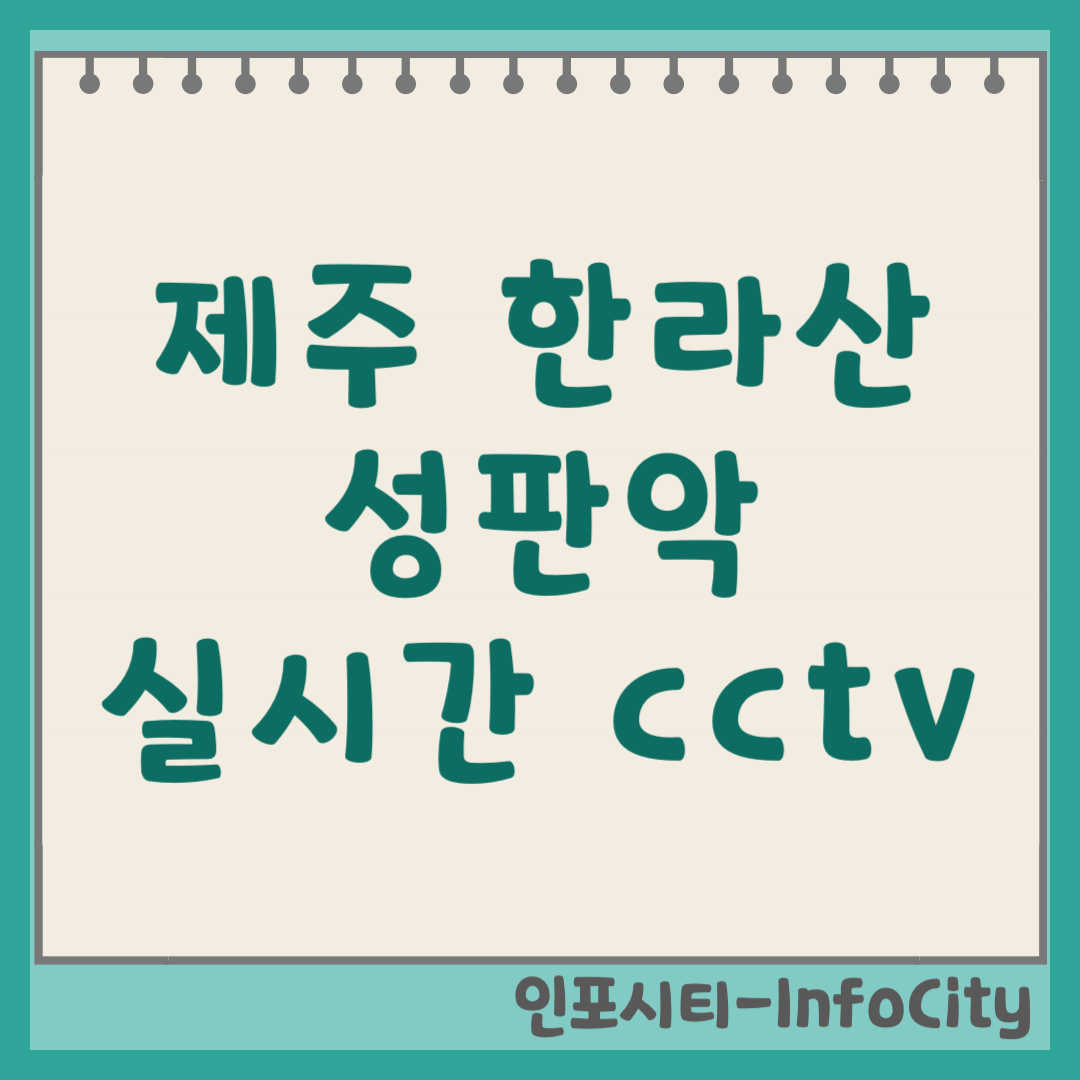 제주 한라산 성판악 국립공원 실시간 CCTV 영상 보기 (2026)