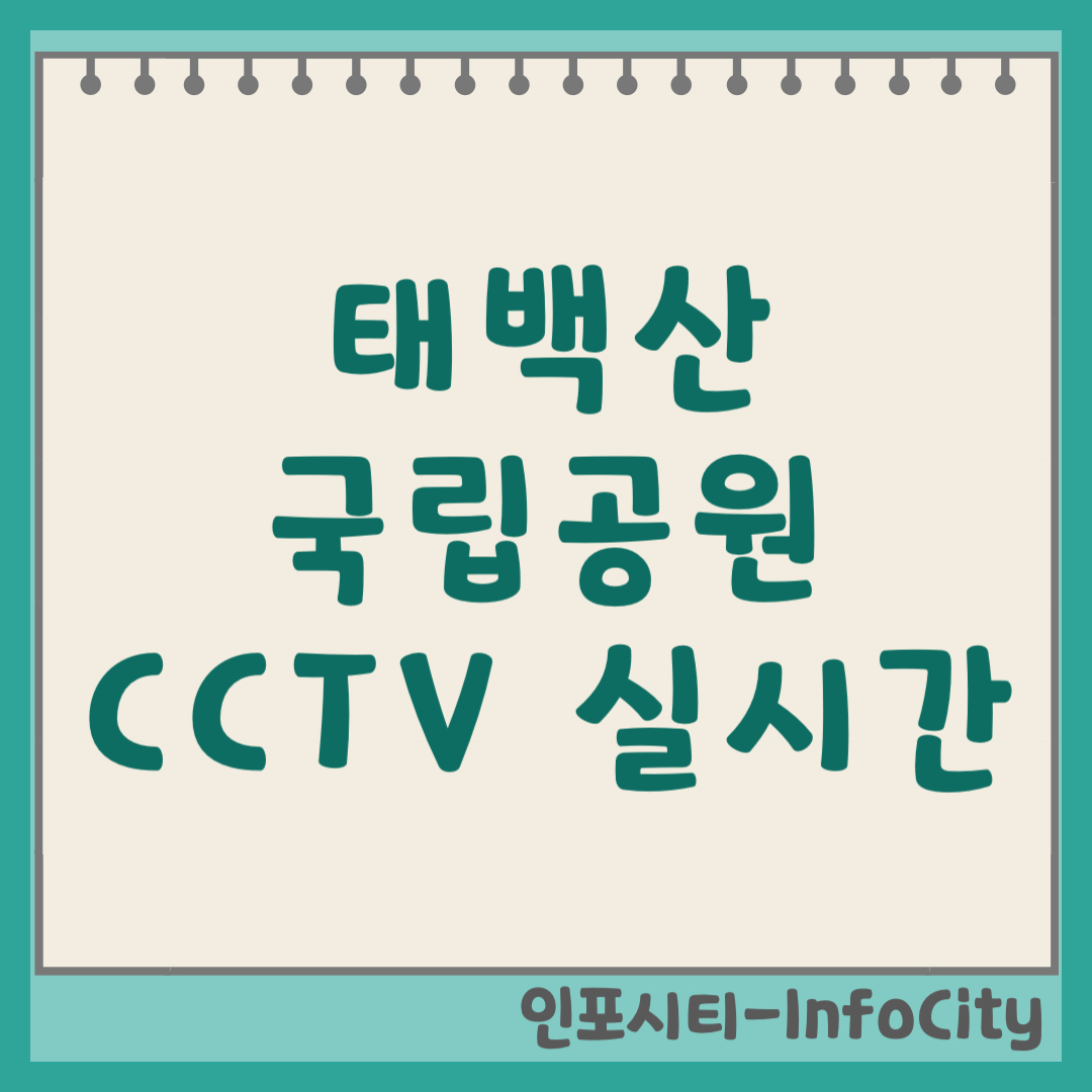 태백산 국립공원 천제단 CCTV 실시간 영상보기 바로가기 (2026)
