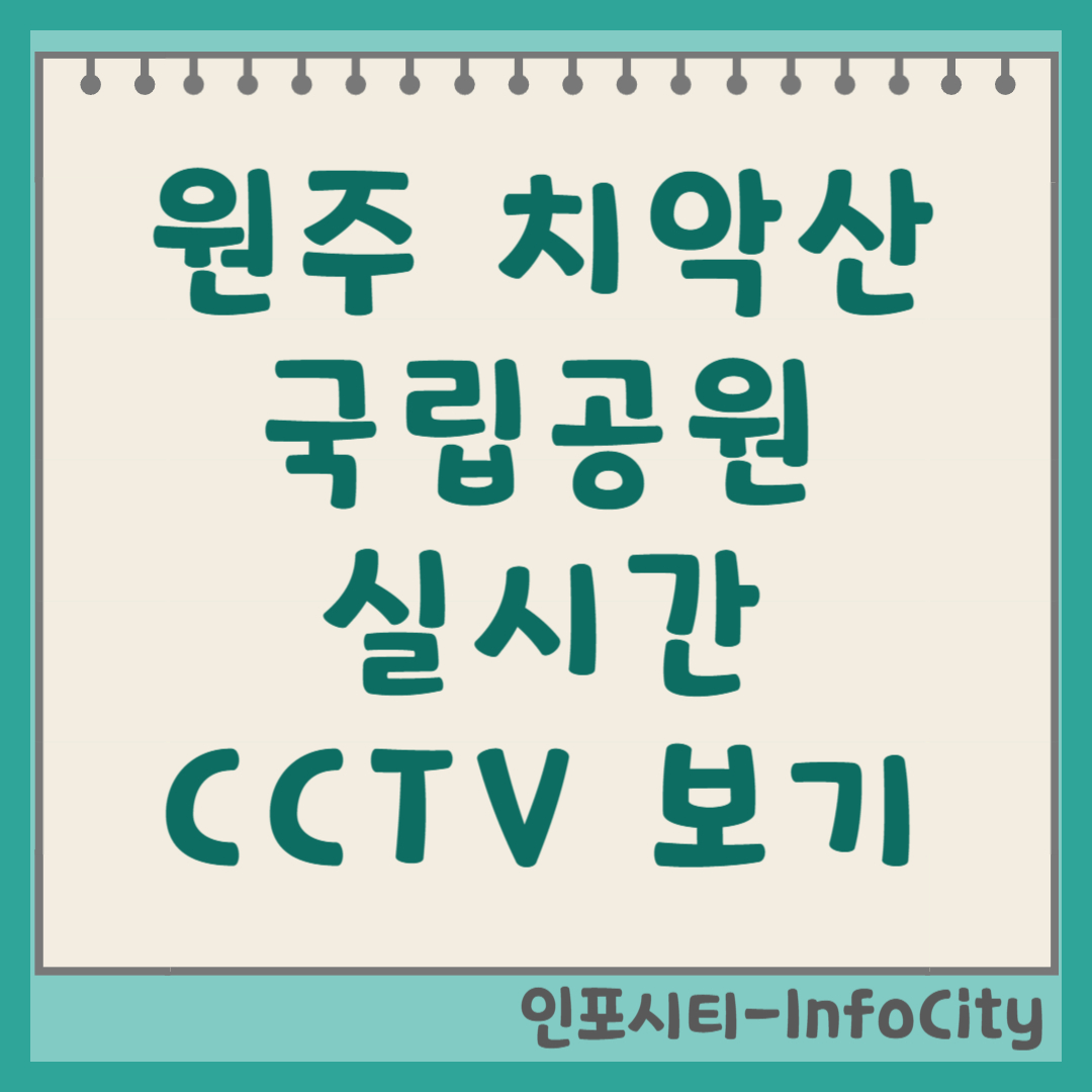 원주 치악산 국립공원 실시간 CCTV 날씨 보는 법 총정리