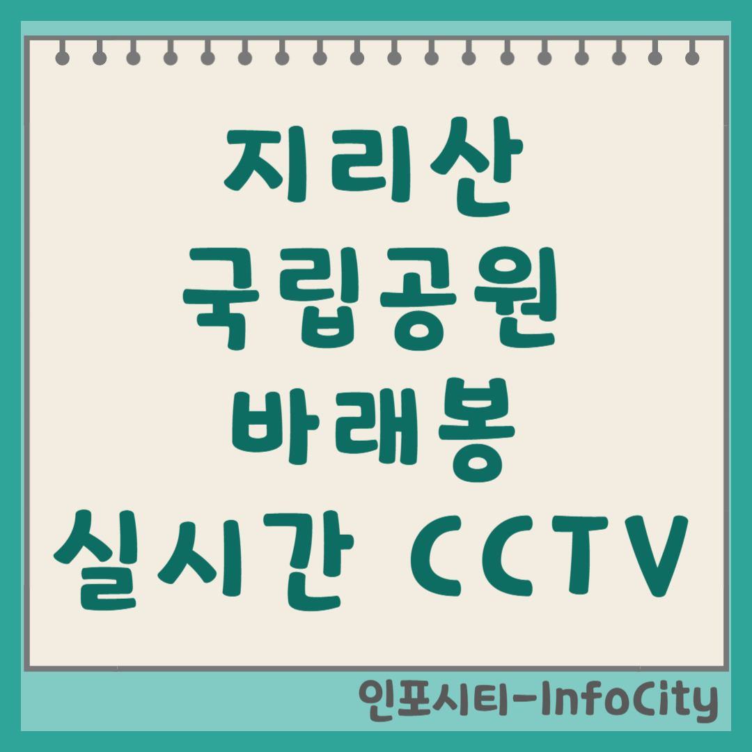 지리산 국립공원 바래봉 실시간 CCTV 보는 법 날씨 보기