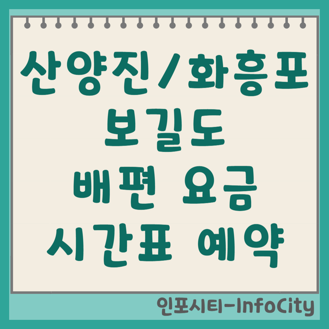 산양진항 vs 화흥포항 보길도 가는 배편 시간표 및 예약 총정리