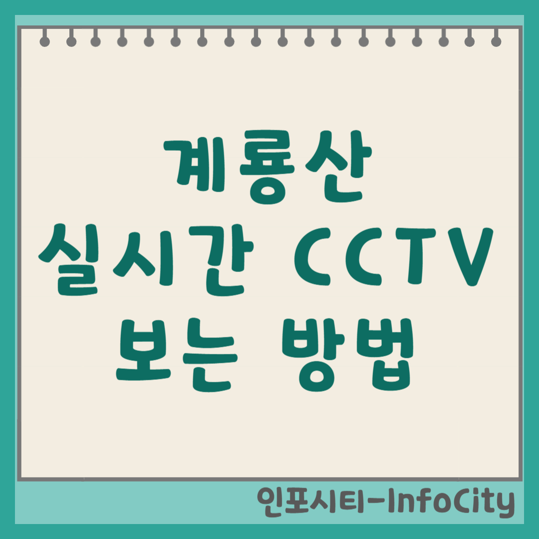 계룡산 실시간 CCTV 보는 방법 및 꿀팁 등산 전 날씨