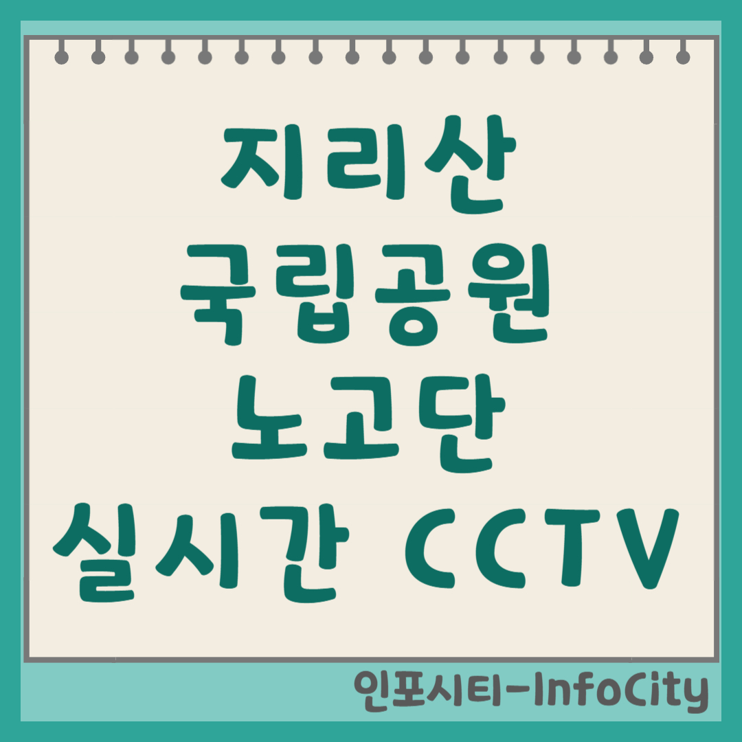 지리산 국립공원 노고단 실시간 CCTV 보는 법 날씨 보기