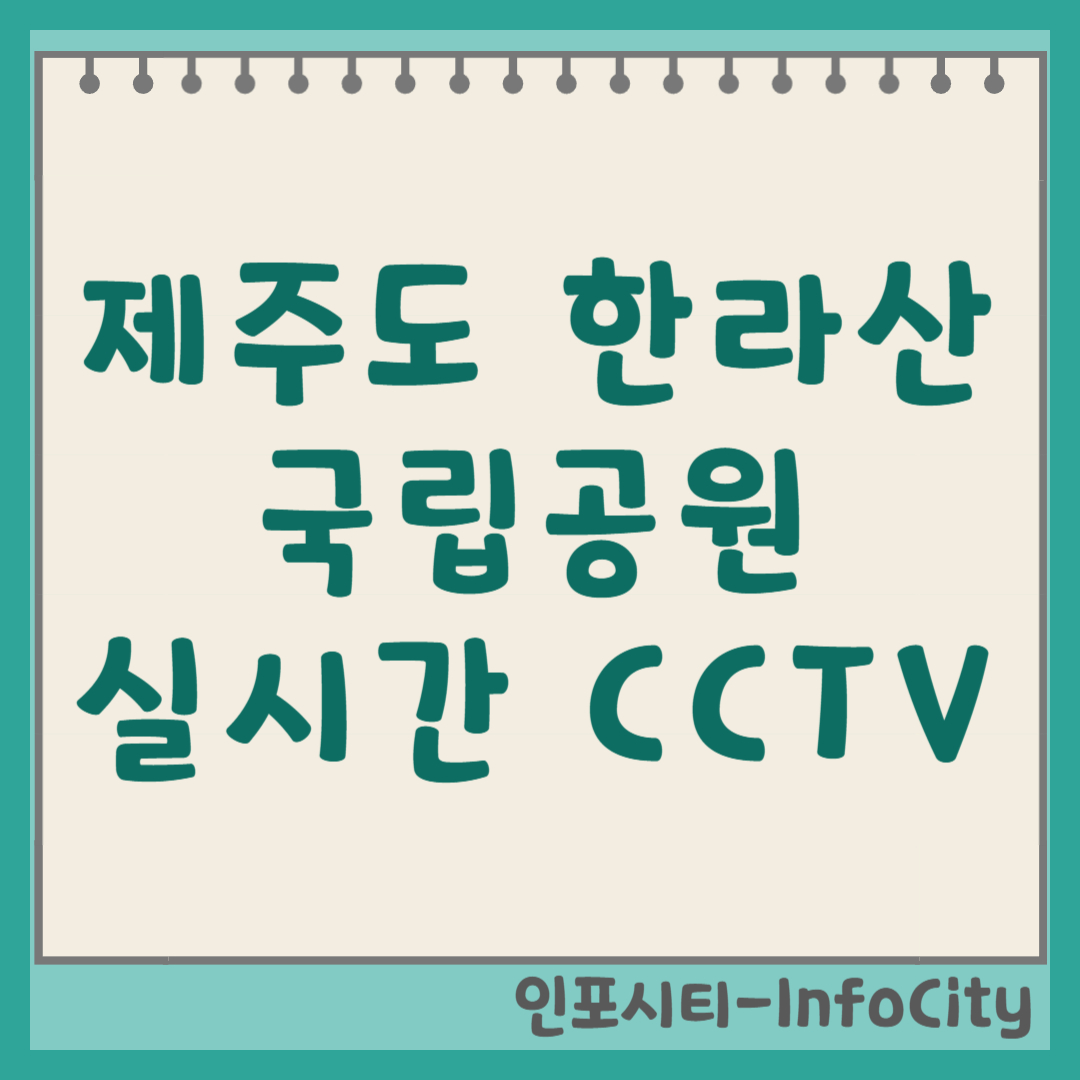 제주도 한라산 국립공원 실시간 CCTV 보는 법 날씨 보기